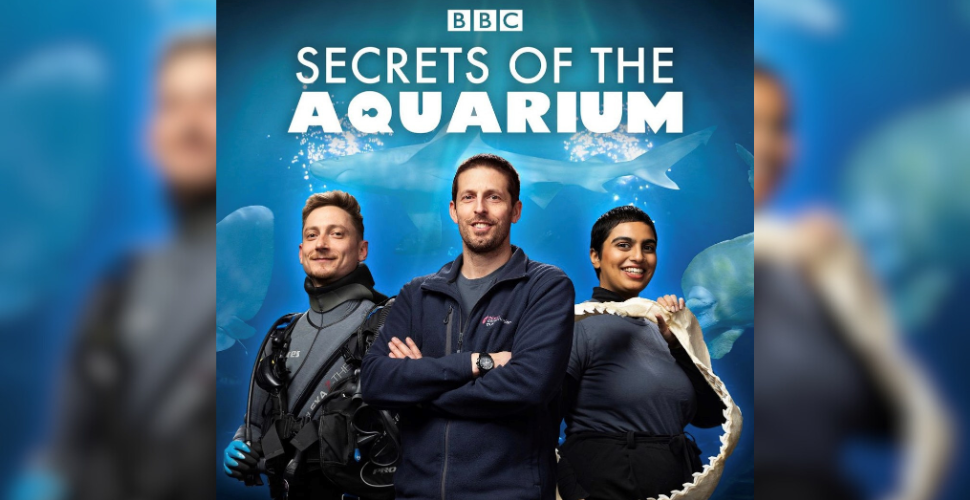 Secrets of the Aquarium